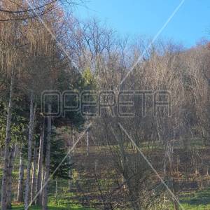 Ulica Dubravica, Gornji Stenjevec, 2.549,00 m2, 80.000,00 EUR