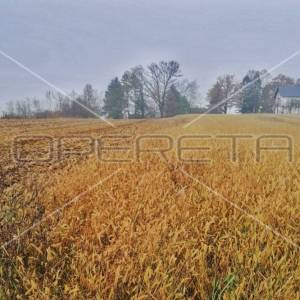 Ulica Putina, Lijevo Sredičko, Pisarovina, 4.165,00 m2, 124.950,00 EUR
