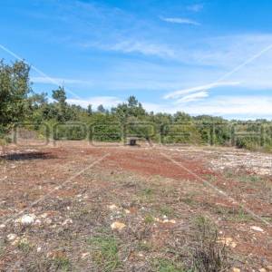 Valtura, poljoprivredno zemljište, 600 m2 pravilnog oblika