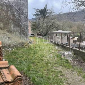 Veli Brgud, starina za adaptaciju