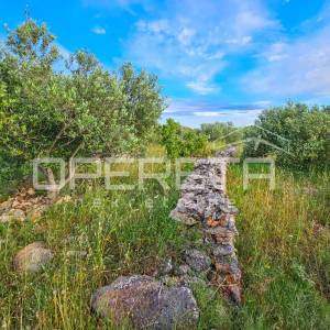 Veliko poljoprivredno imanje na vrhu Hvara s panoramskim pogledom