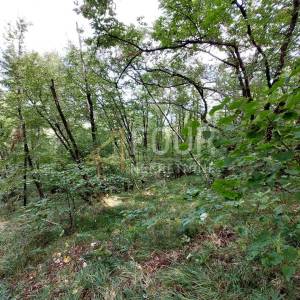 Veprinac, poljoprivredno zemljište 4013m2