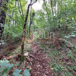 Veprinac, poljoprivredno zemljište 4013m2