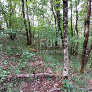Veprinac, poljoprivredno zemljište 4013m2