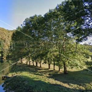 Vinski Vrh Donja Stativa, Karlovac okolica, 11.500,00 m2, 120.000,00 EUR