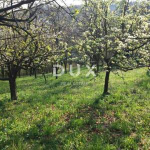 VIROVITICA - Kuća sa predivnim pogledom na netaknutu prirodu!