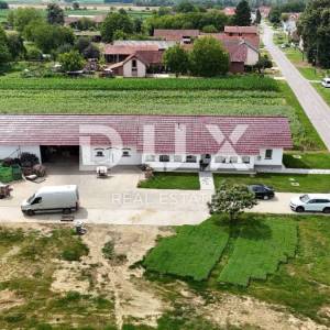 VIROVITICA, PITOMAČA - Kuća i prostrano imanje s plastenicima za proizvodnju povrća