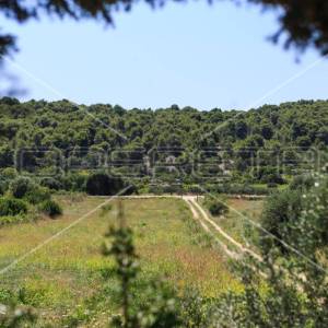 Vis,Dračevo poje, očuvano autentično selo na uzdignutoj poziciji, 5 kuća, 2 zida