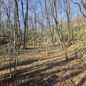 Viškovo, Saršoni, poljoprivredno zemljište 10.317m2