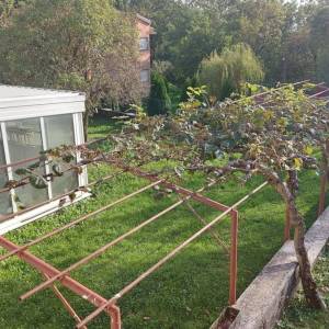 VIŠKOVO- veliko gospodarsko imanje, tri stambene jedinice, poslovni prostor, gospodarske zgrade, vinski podrum, velika okućnica...