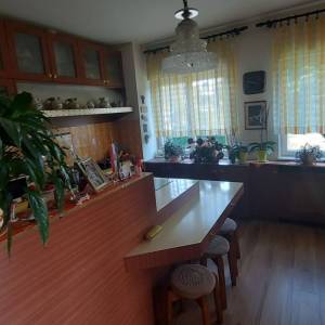 VIŠKOVO- veliko gospodarsko imanje, tri stambene jedinice, poslovni prostor, gospodarske zgrade, vinski podrum, velika okućnica...