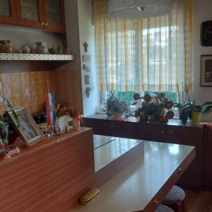 VIŠKOVO- veliko gospodarsko imanje, tri stambene jedinice, poslovni prostor, gospodarske zgrade, vinski podrum, velika okućnica...