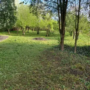 Voćnjak sa kleti i podrumom
