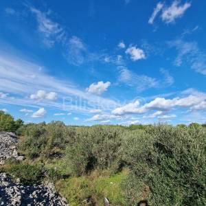 Vodice, zemljište poslovne namjene 1521m2, prodaja