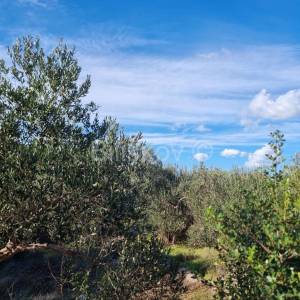 Vodice, zemljište poslovne namjene 1521m2, prodaja