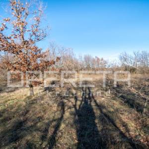 Vodnjan Okolica, Zemljište, 464.800,00 EUR