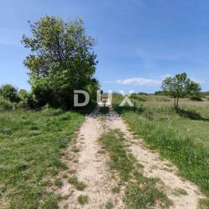 ZADAR, BRIŠEVO - Prekrasno poljoprivredno zemljište s pogledom na Velebit! 2148m2!