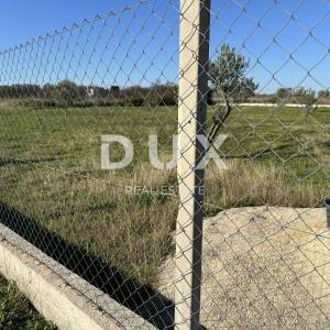 ZADAR, CRNO - Zemljište uz građevinsku zonu - Prilika za investiciju 