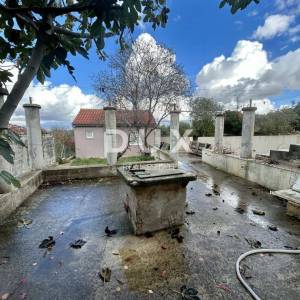 ZADAR, DEBELJAK - Prostrana kuća s pomoćnim objektom/apartmanom