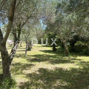 ZADAR, KOŽINO - Građevinsko zemljište na 120m od mora
