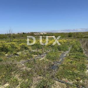 ZADAR, MURVICA - Poljoprivredno zemljište s potencijalom - 3000m²