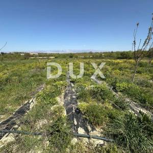 ZADAR, MURVICA - Poljoprivredno zemljište s potencijalom - 3000m²