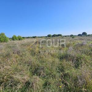 Zadar, Privlaka, poljoprivredno zemljište, 639m2 - SAMO KOD NAS !