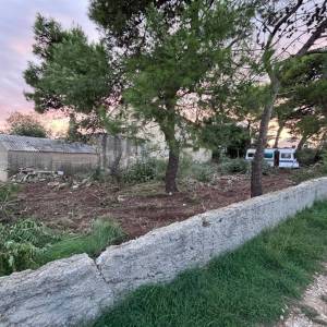 ZADAR, PRIVLAKA - Starina za adaptaciju s prostranom okućnicom