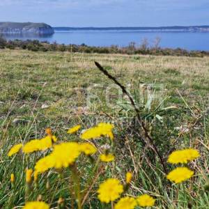 Zadar, Rtina, građevinsko zemljište 150m od mora