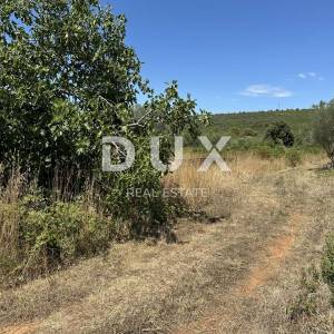 ZADAR, SUKOŠAN – Građevinsko zemljište 300 m od mora, 1128m²
