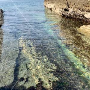 ZADNJI STANOVI! TOP RESORT PORED UMAGA; LUKSUZNI APARTMAN S POGLEDOM NA MORE