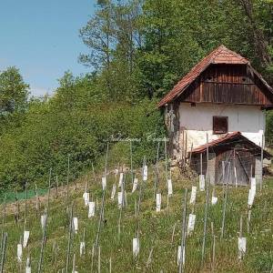  Zagorska hiža iz 1888. godine 