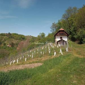  Zagorska hiža iz 1888. godine 