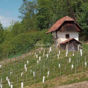  Zagorska hiža iz 1888. godine 