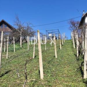 ZAGREB, ČRNOMEREC, MIKULIĆI - Zemljište s kućicom i potencijalom gradnje