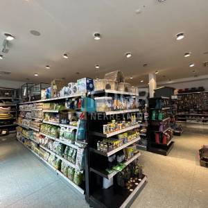 Zakup, Istra, Pula, Centar, poslovni prostor, 242m2