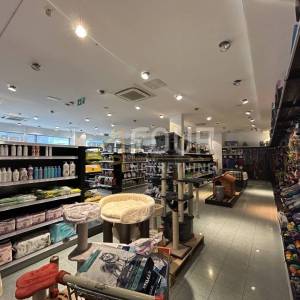 Zakup, Istra, Pula, Centar, poslovni prostor, 242m2
