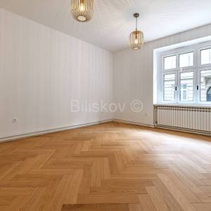 Zakup, Zagreb, Nova Ves, novoadaptirani poslovni prostor 71 m²  vpr 