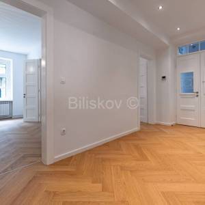 Zakup, Zagreb, Nova Ves, novoadaptirani poslovni prostor 71 m²  vpr 