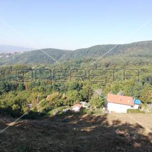 Zelena magistrala, Borčec, 2.874,00 m2, 229.920,00 EUR