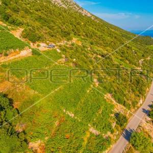 Zemljište, 12.257 m2, Dingač, Pelješac, 40 EUR/m2