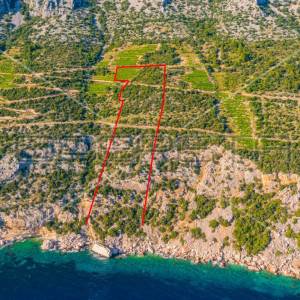 Zemljište, 12.257 m2, Dingač, Pelješac, 40 EUR/m2