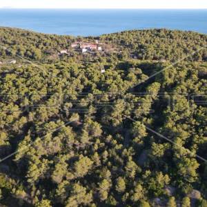 Zemljište 4.105 m2, pravilan oblik i otovoren pogled na more, otok Vis