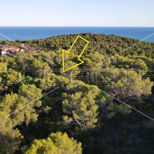 Zemljište 4.105 m2, pravilan oblik i otovoren pogled na more, otok Vis
