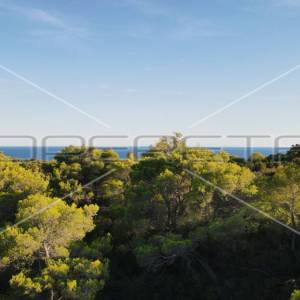 Zemljište 4.105 m2, pravilan oblik i otovoren pogled na more, otok Vis
