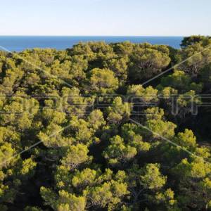 Zemljište 4.105 m2, pravilan oblik i otovoren pogled na more, otok Vis