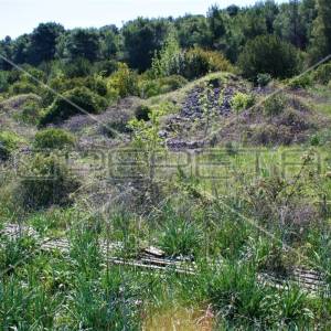 Zemljište 4.105 m2, pravilan oblik i otovoren pogled na more, otok Vis