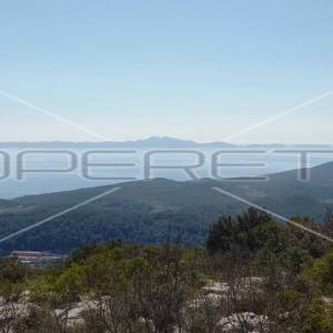 Zemljište, 51 000 m2, Čara, otok Korčula
