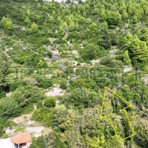 Zemljište, 51 000 m2, Čara, otok Korčula