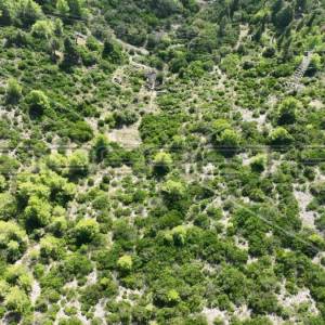 Zemljište, 51 000 m2, Čara, otok Korčula